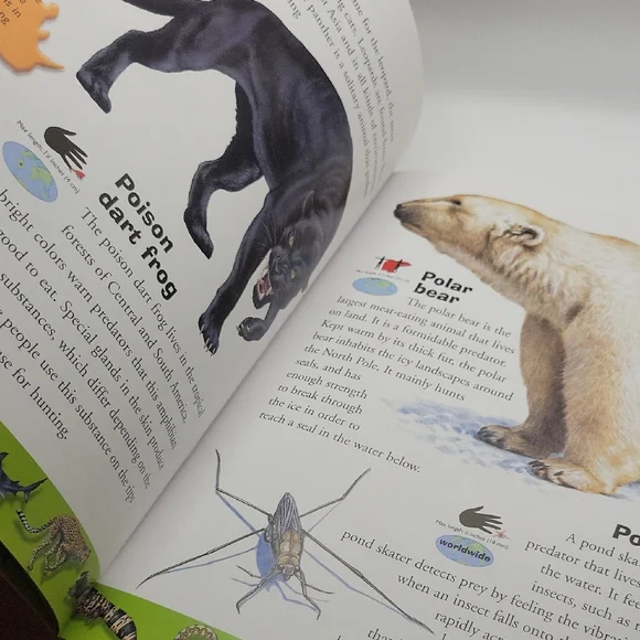 Deadly Creatures Dictionary - Picture 5 of 7